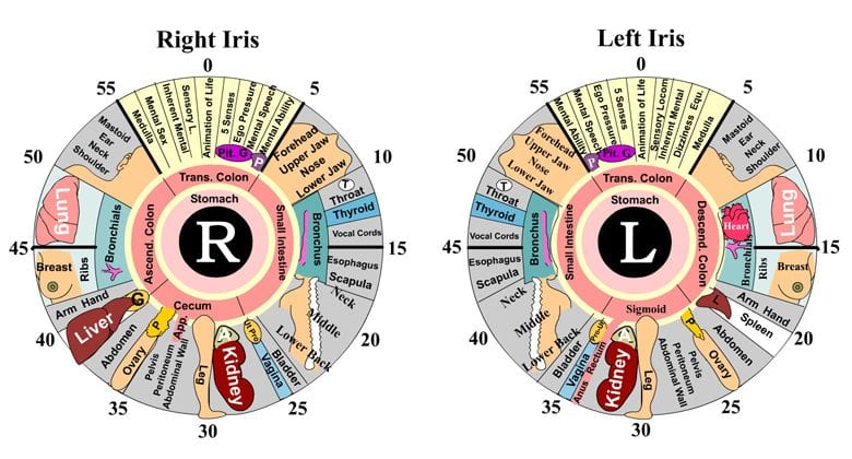 Holistic Iridology Assessment