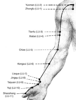 TCM Lung Meridian Acupressure Palpation